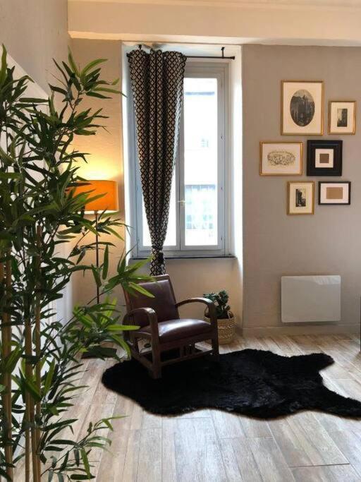 Studio Au Pied De La Cite Carcassonne Exteriér fotografie
